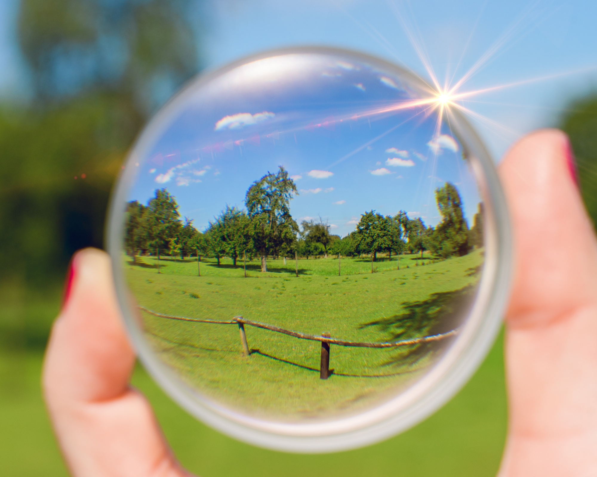 Progressive Reader Lens Replacements In Clear