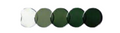 Bifocals With Green Transitions Lenses