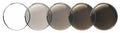 Brown Transitions