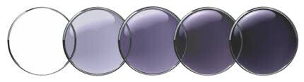 Bifocal Lenses With Gray Transitions