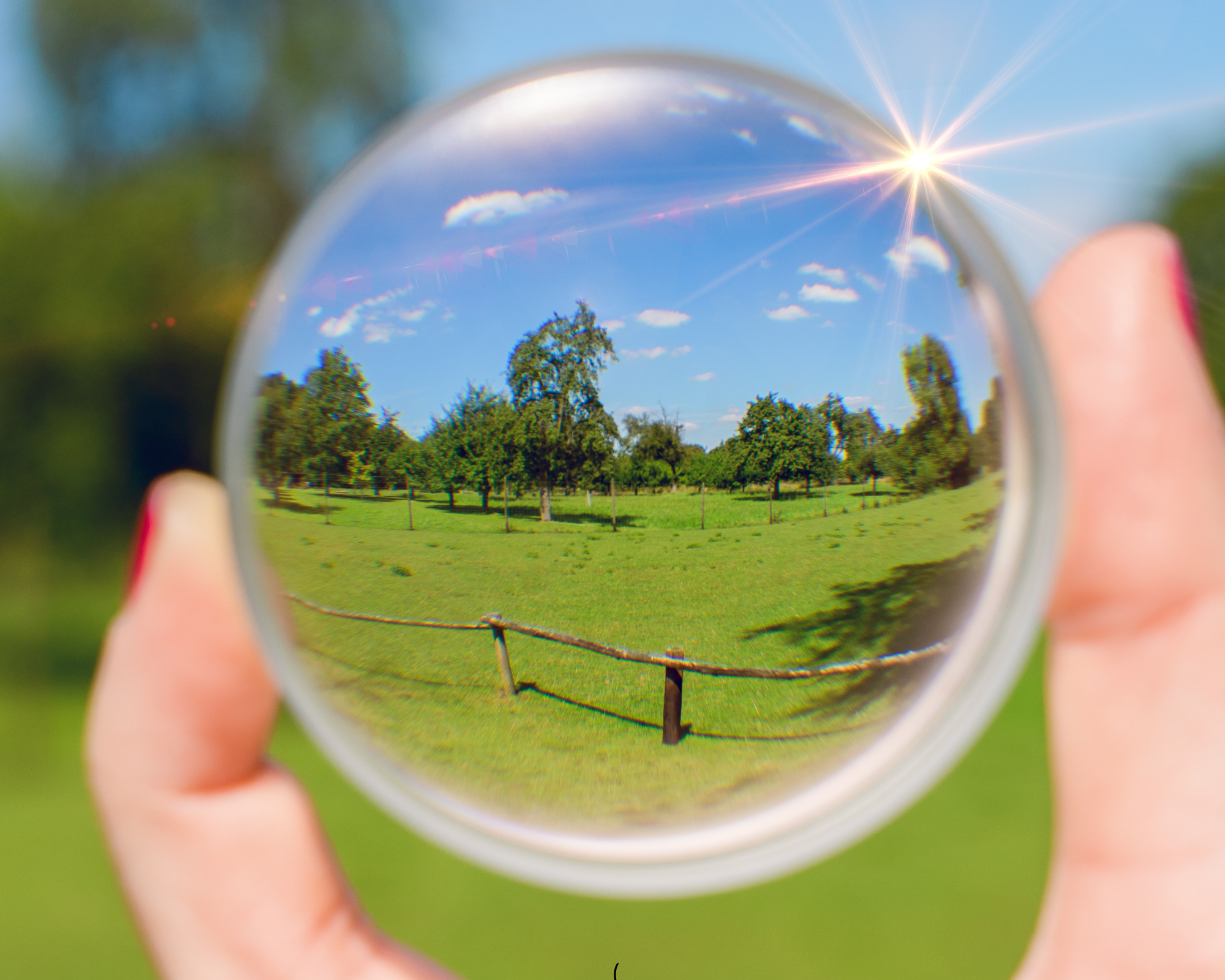 Progressive Lens Replacements  In Clear