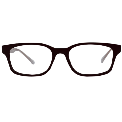 Elon In Black With Translucent Temples:  Unisex/ Modified Oval Frame Fits Medium To Wide Faces