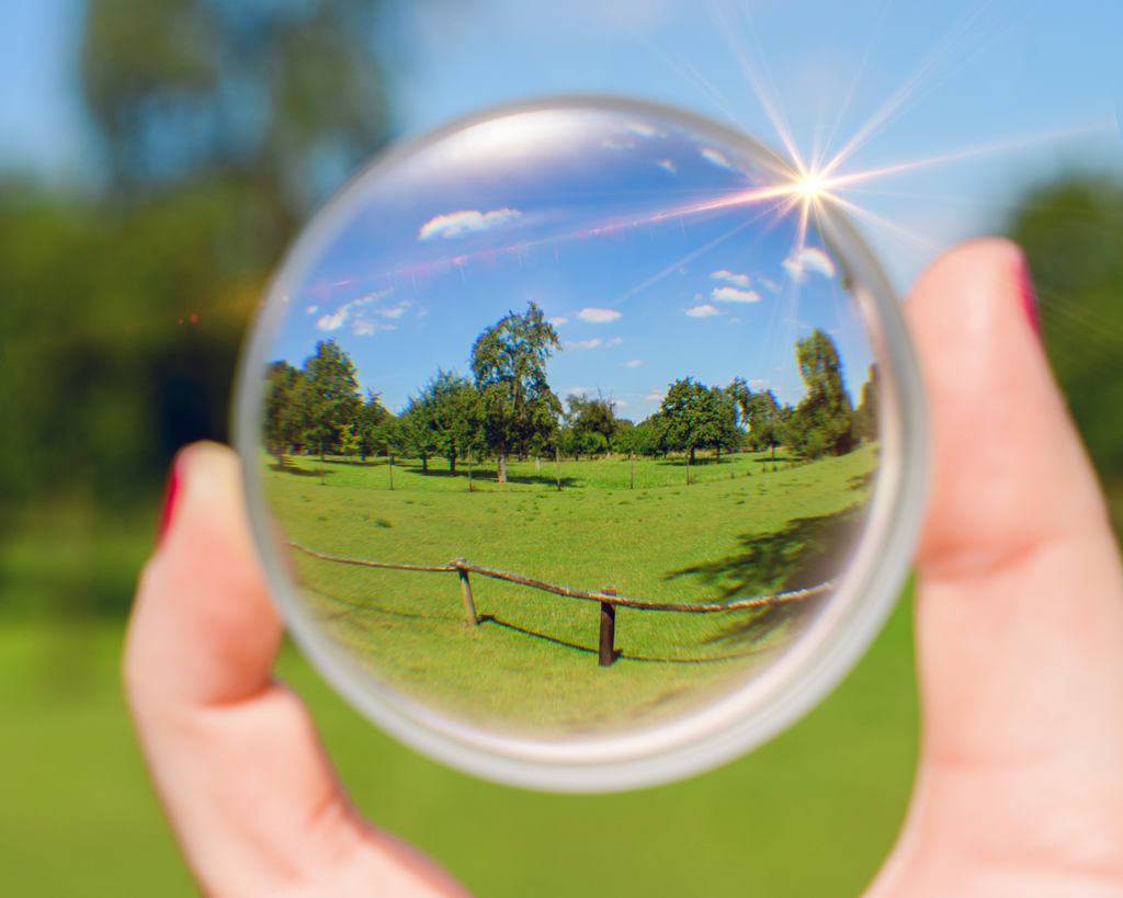 Replacement Lenses: Single Vision (reading or driving)  Line Bifocals, Line Trifocals, Progressives (no-line bifocals)