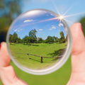 Replacement Lenses: Single Vision (reading or driving)  Line Bifocals, Line Trifocals, Progressives (no-line bifocals)
