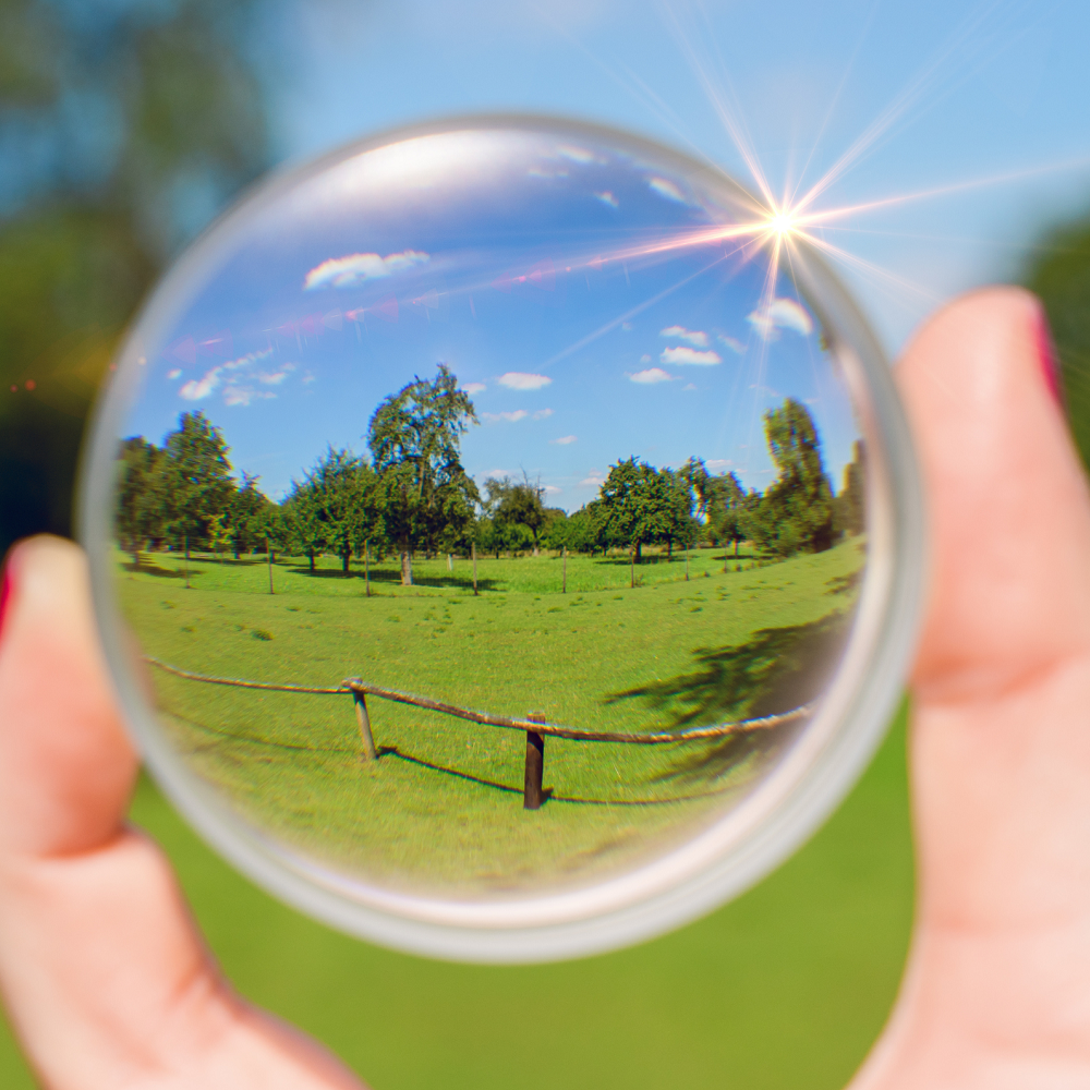 Replacement Lenses: Single Vision (reading or driving)  Line Bifocals, Line Trifocals, Progressives (no-line bifocals)